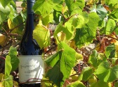 Frogmore Creek Wines