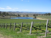 FROGMORE CREEK VINEYARD